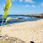 Sandkaas Allinge-Sandvig