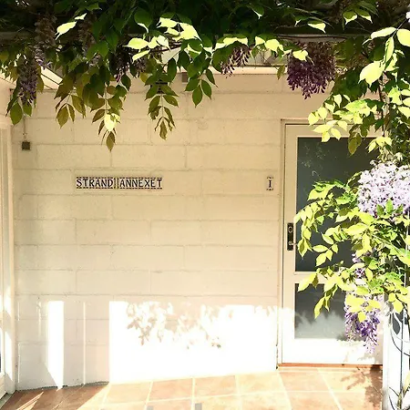 Sandkaas Allinge-Sandvig