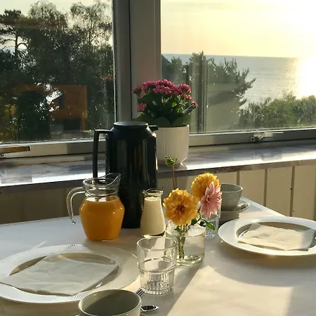 Sandkaas Allinge-Sandvig