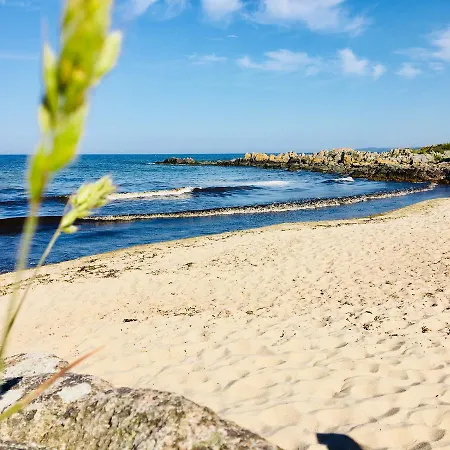 Sandkaas Allinge-Sandvig