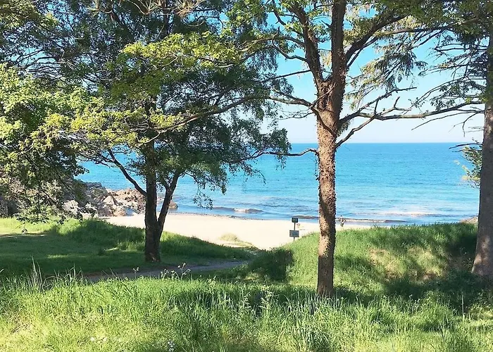Sandkaas