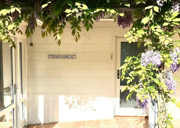 Sandkaas Allinge-Sandvig