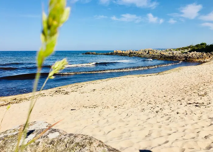 Sandkaas Allinge-Sandvig